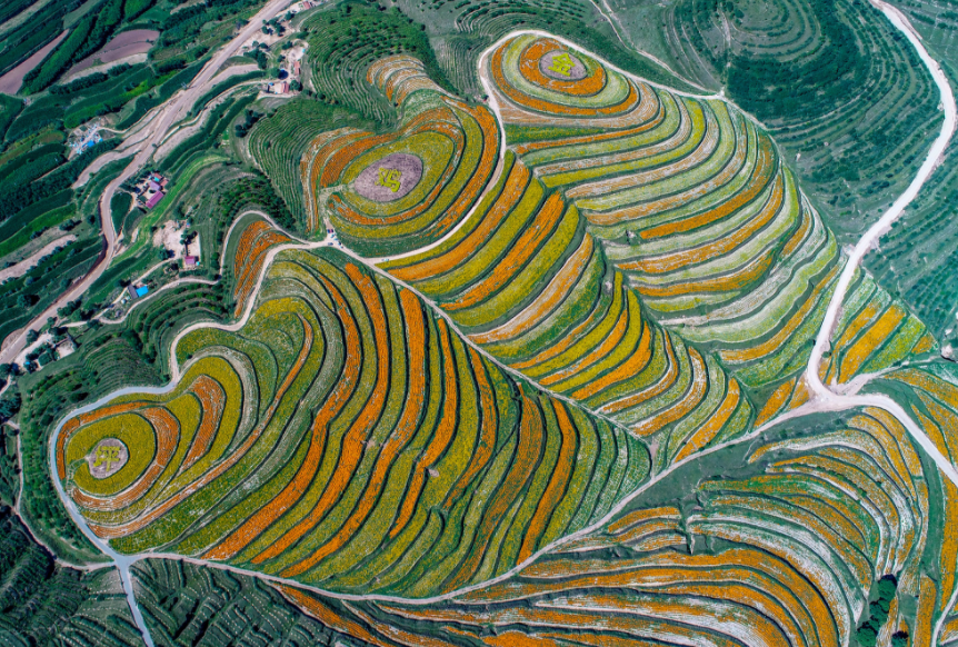 划重点丨学习贯彻全国生态环境保护大会精神