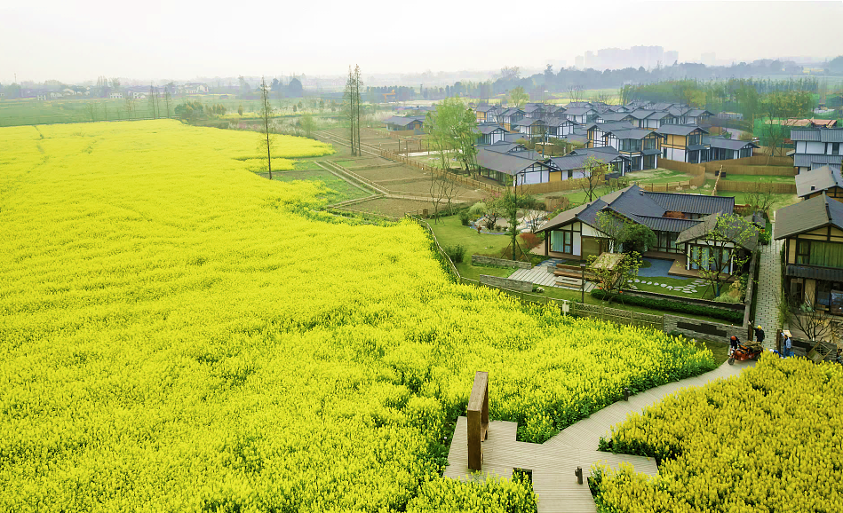 关于国土空间背景下实用性村庄规划编制的探讨