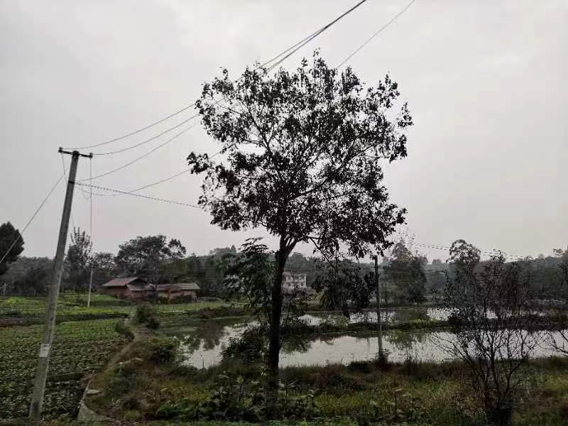 我公司编制的“十四五”农村污水专规正式印发实施