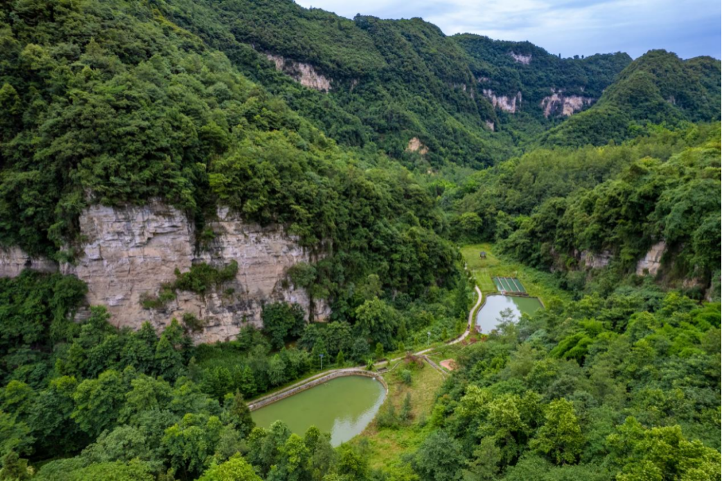 全域土地综合整治——土地焕新“活”力足